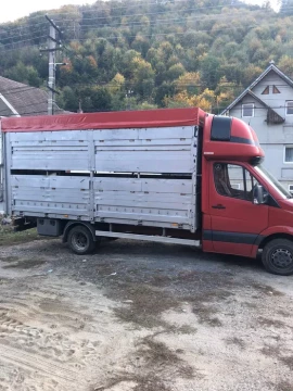 Transport animale vii